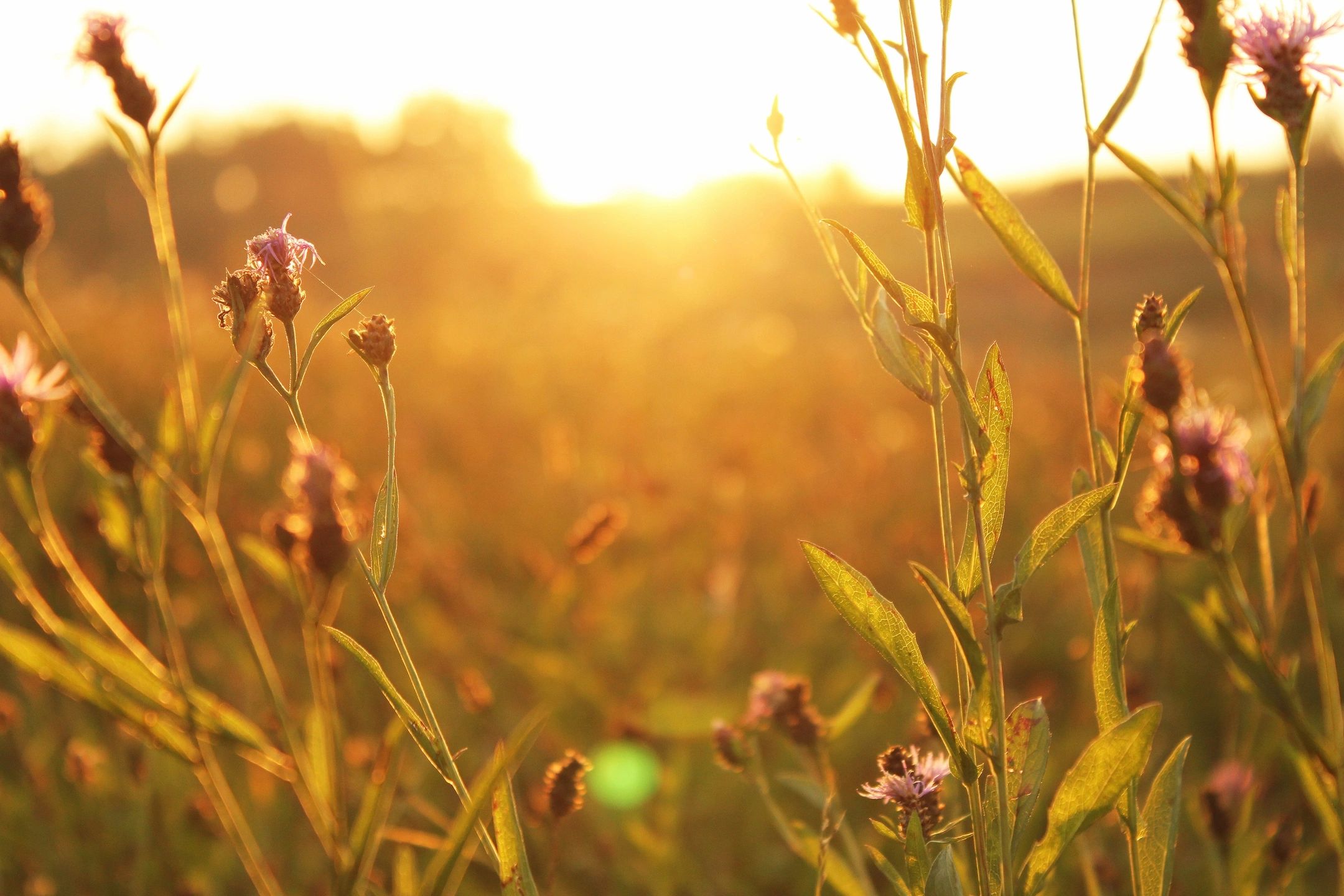 Spring, a time for creating ‘new beginnings’!