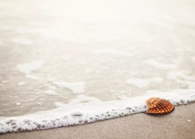 The Decade Ahead . . . from Coach ‘Stiletto’ point of view     